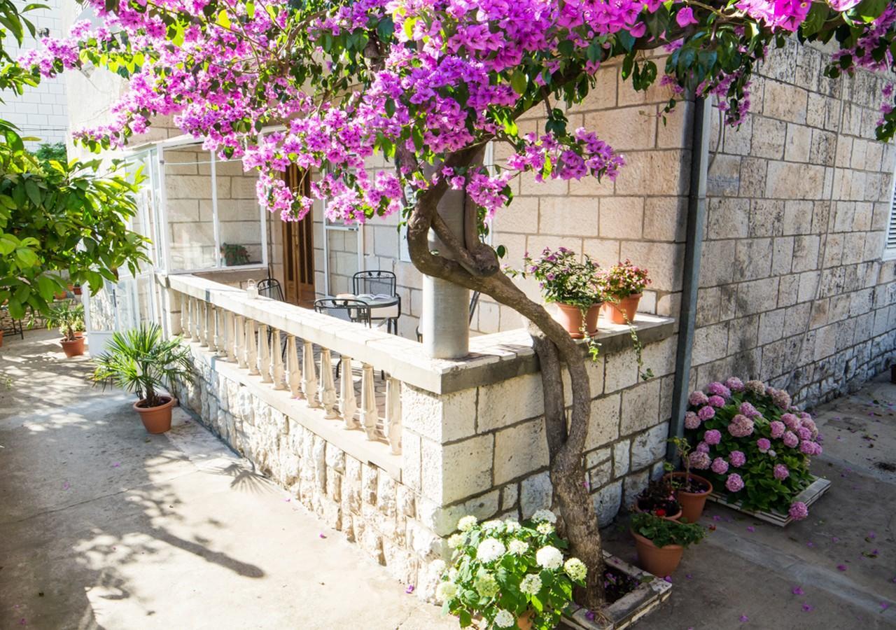 Apartments Bungevilla Dubrovnik Eksteriør bilde